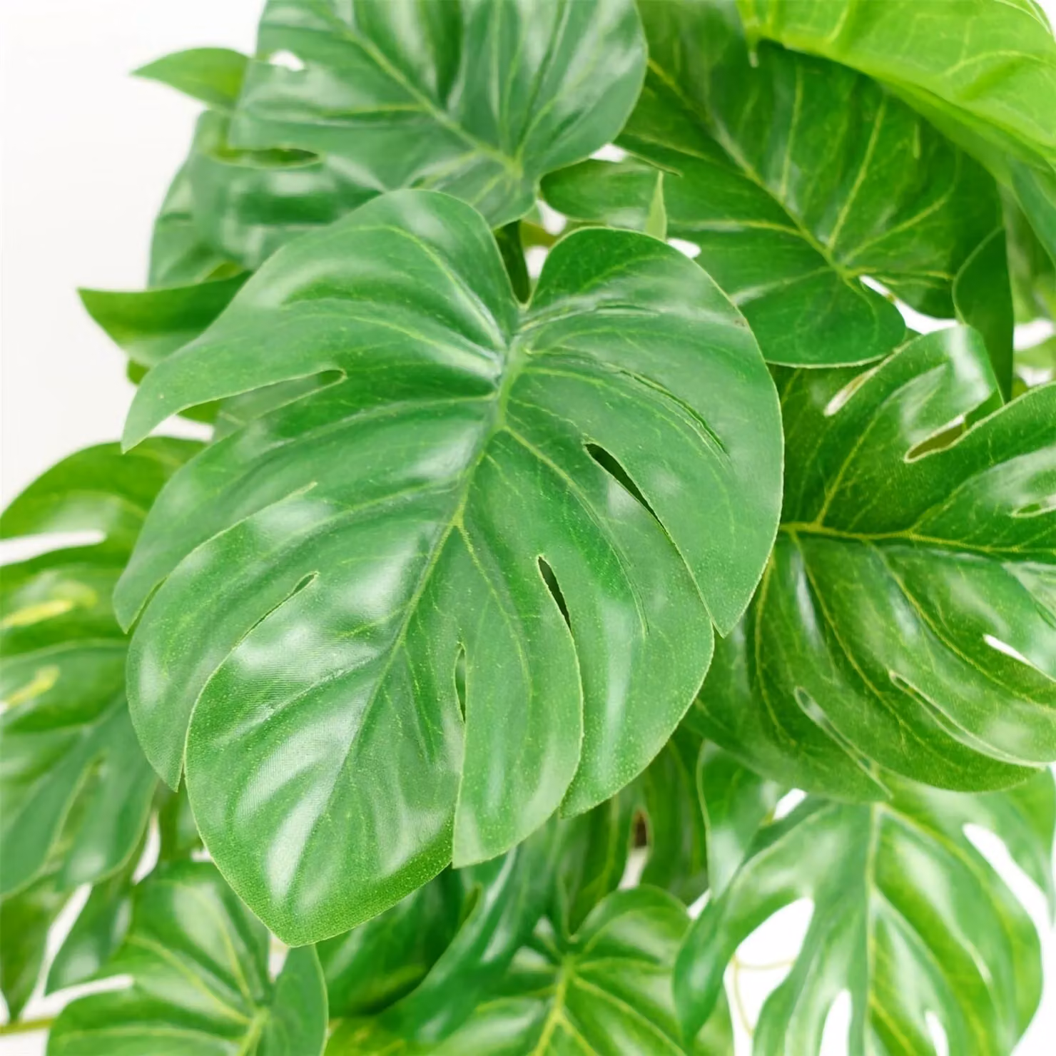 Leaf Design UK Green Artificial Potted Monstera Tabletop Plant, Height: 30 cm – 2