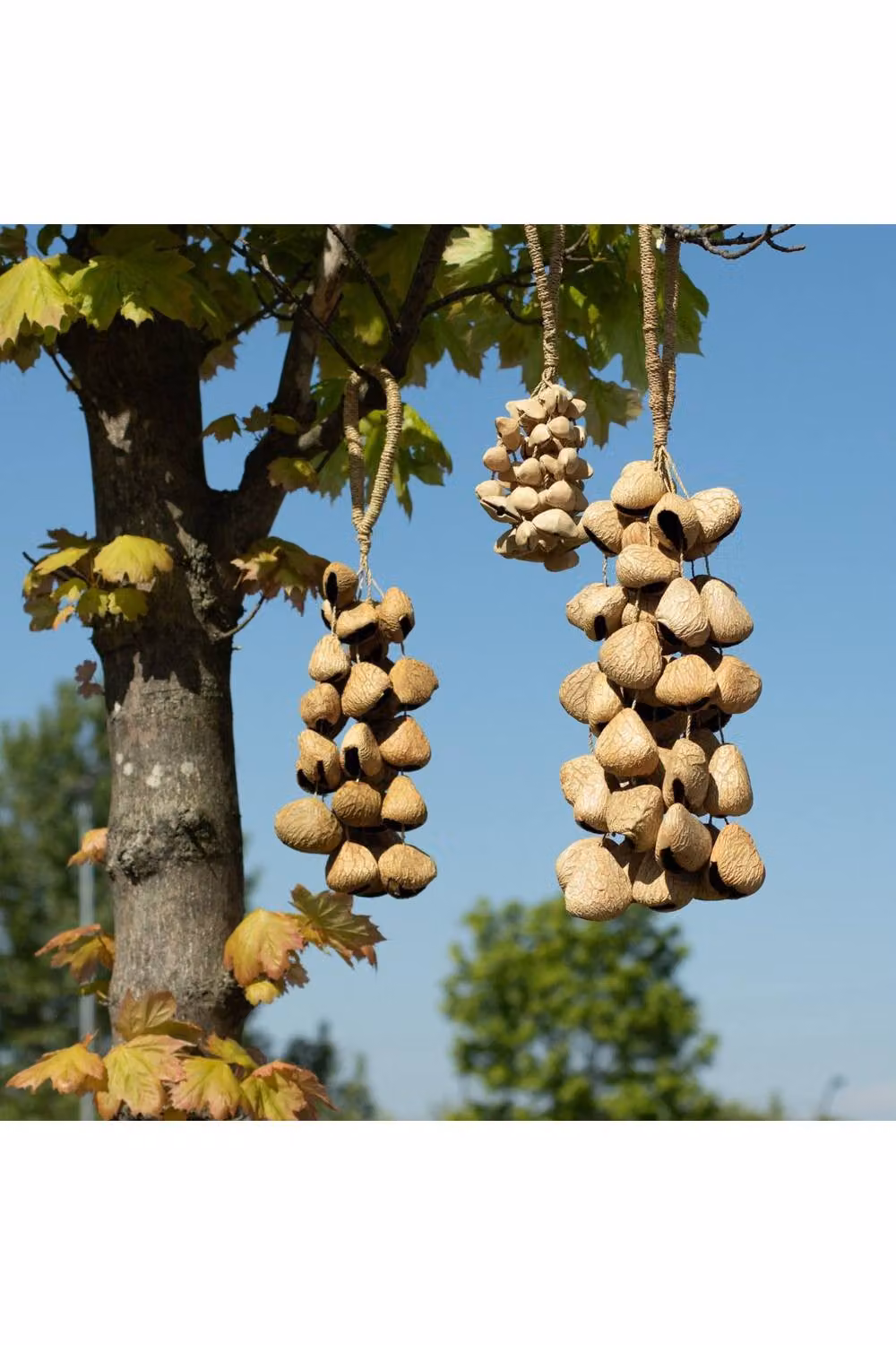 KDMD Medium Pangi Seed Shell Nut Shaker Natural Tan Rattle – 3