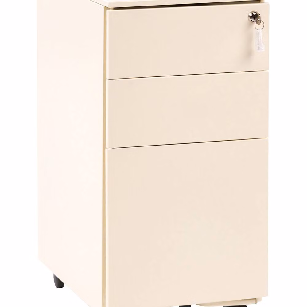 Wyld and Coco Beige Glossy Metal Storage Cabinet with 3 Internal Drawers and Key Lock – 2