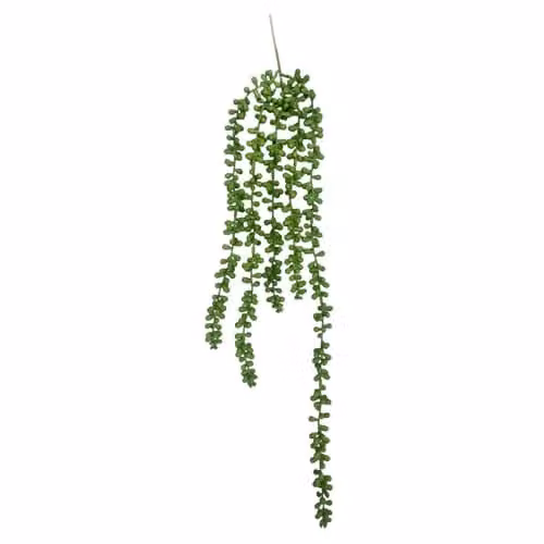 Leaf UK Green Artificial String of Hanging Pearls Plant, Length: 70 cm