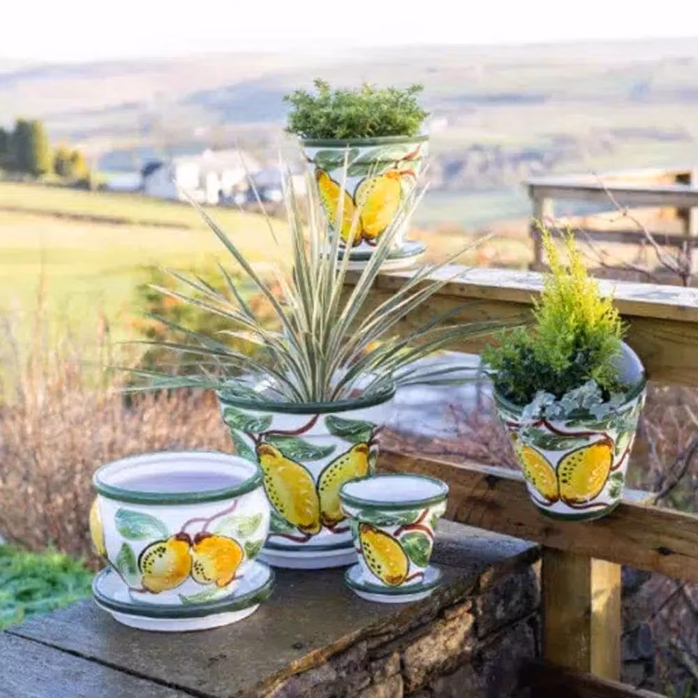 Verano Spanish Ceramics Hand Painted Lemons Bola Plant Pot and Drainage Plate, Yellow and Multicolour, Diameter: 25 cm – 2
