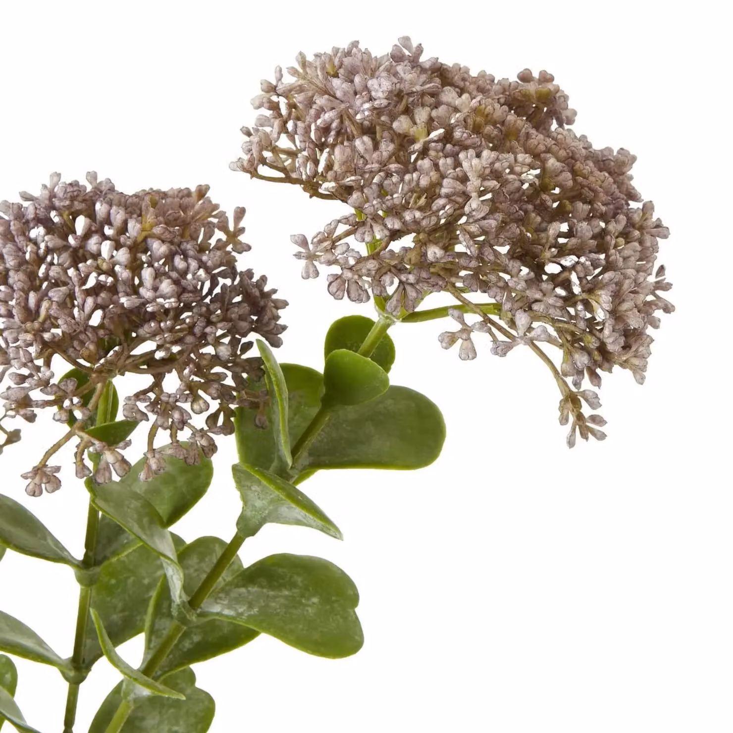 Hill Interiors Purple Sedum Artificial Succulent Spray – 2