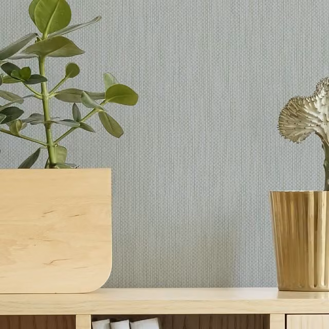Superfresco Aaron Sparkle Texture Abstract Wallpaper in Sage Green