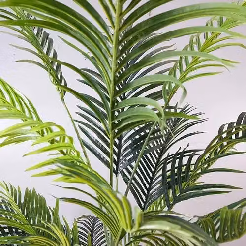 Leaf UK 160 cm Artificial Palm Tree in a Green Pot with White Accents – 4