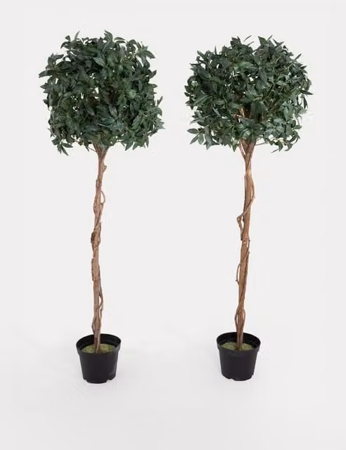 Blooming Artificial Set of 2 Green Freestanding Floor Standing Bay Trees, Height: 182.88 cm