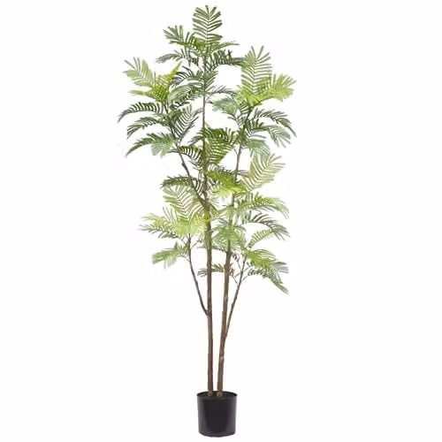 LeafUK Botanik Large Artificial Palm Tree, Green, H 210 cm x W 80 cm x D 80 cm – 2