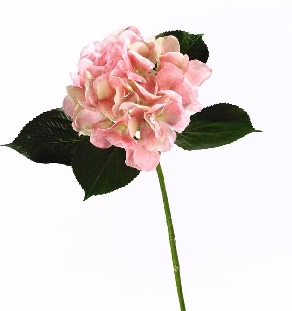 Bloom Artificial Single Pink Hydrangea Flower Stem, Length: 60 cm