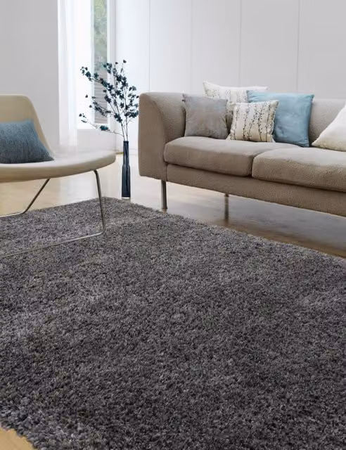 Asiatic Richie Soft Touch Shaggy Rug in Grey