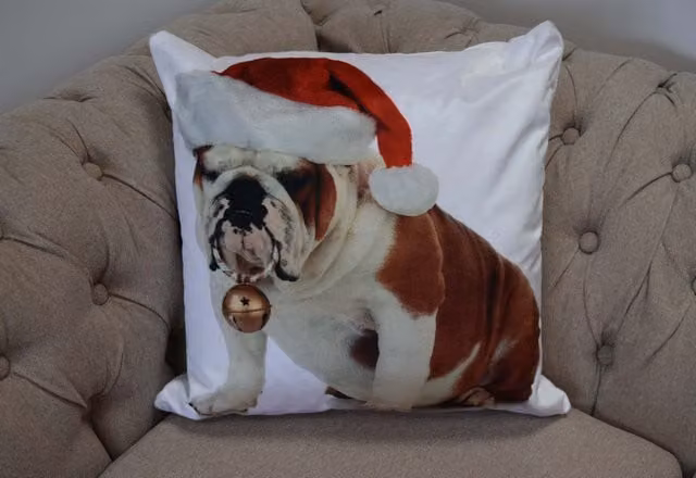 Rapport Home Photographic Bulldog Christmas Santa Hat Square Polyester Cushion Cover, Multicolour, W/D/H: 43 x 43 x 43 cm