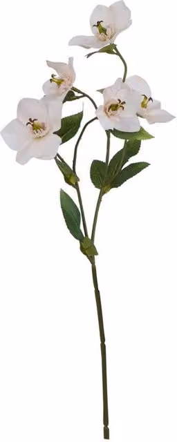 Lemon Pavilion Hellebore Artificial Flower Single Stem in Pale Pink, H47 cm – 1