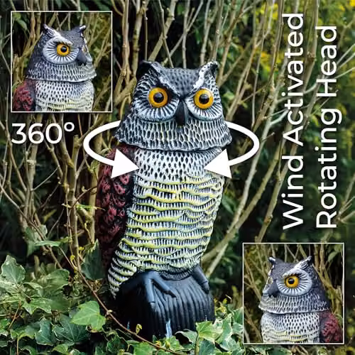 St Helens Home & Garden Life-Sized Decoy Owl with Rotating Head in Multicolour – 3
