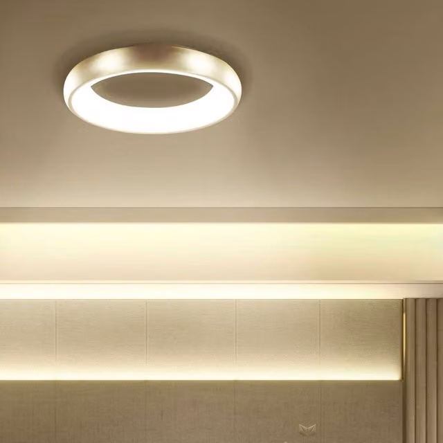 Wyld and Coco Modern Round LED Ceiling Light in Gold/Brass, Diameter: 45 cm