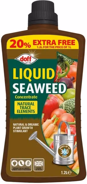 Doff Liquid Seaweed Plant Feed Concentrate All Purpose Tonic, 1.2 l