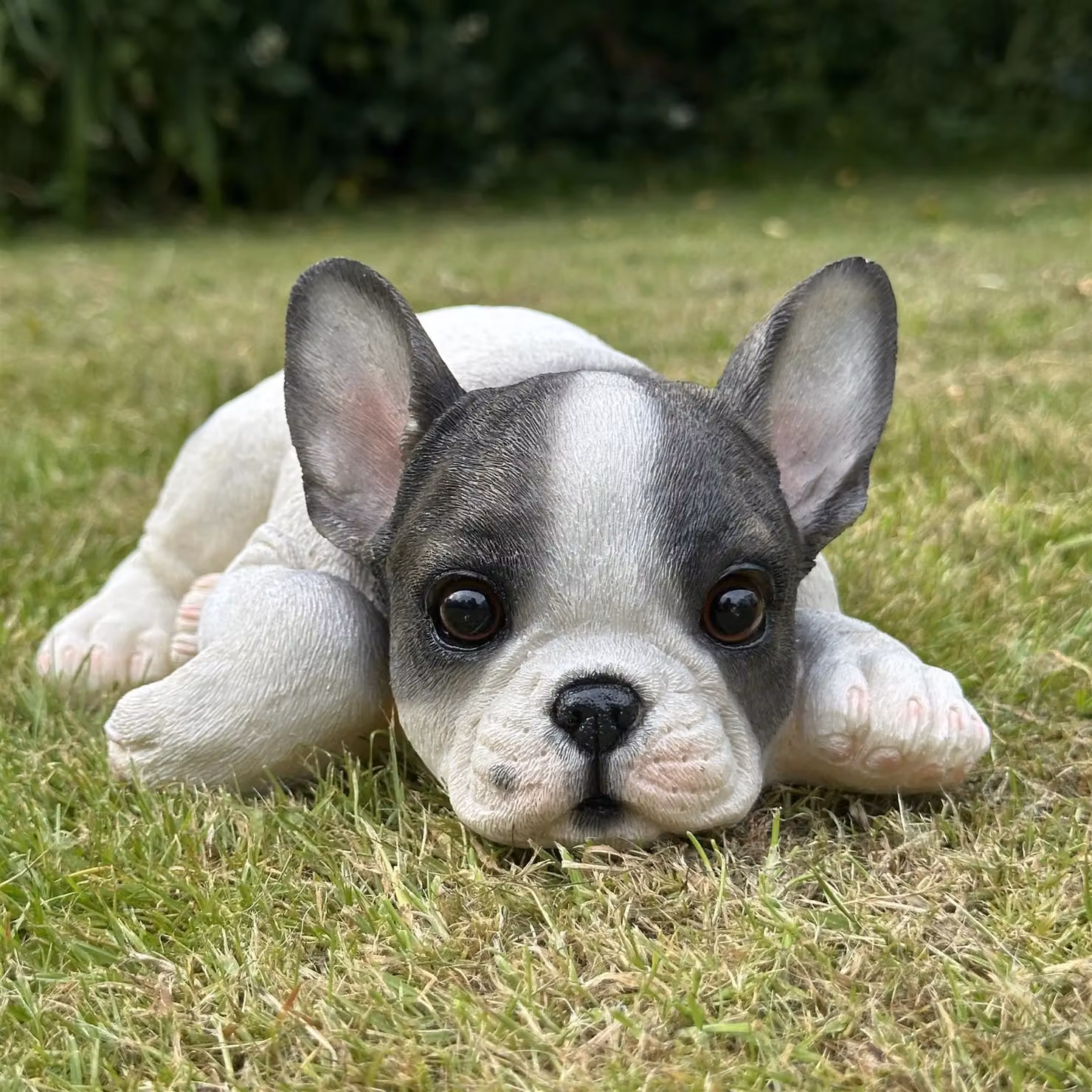 Animal Crackers Realistic Laying French Bulldog Figurine Decoration in Black and White, H 17.0 cm x W 17.0 cm x D 10.5 cm – 2