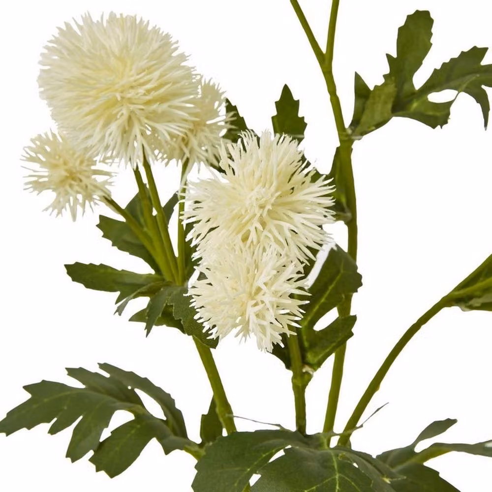 Lemon Pavilion Globe Thistle Single Stem Flower Spray in Beige, Green and White, Height: 56 cm – 2
