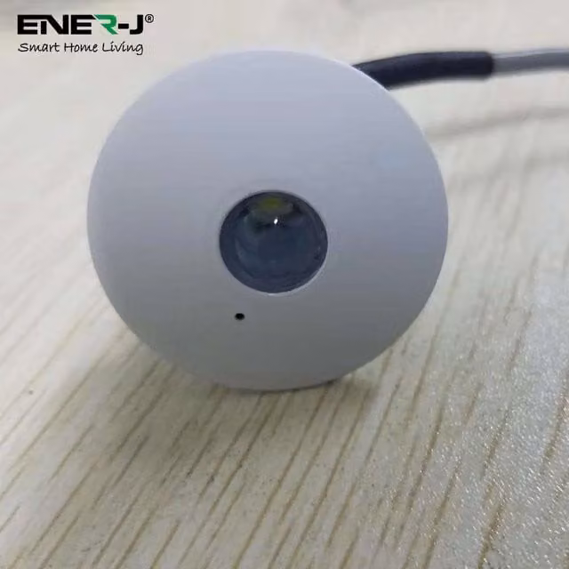 ENER-J 3W Emergency LED Recessed Downlight, White, IP20, 171 Lumens, Diameter: 25 cm, Height: 19 cm