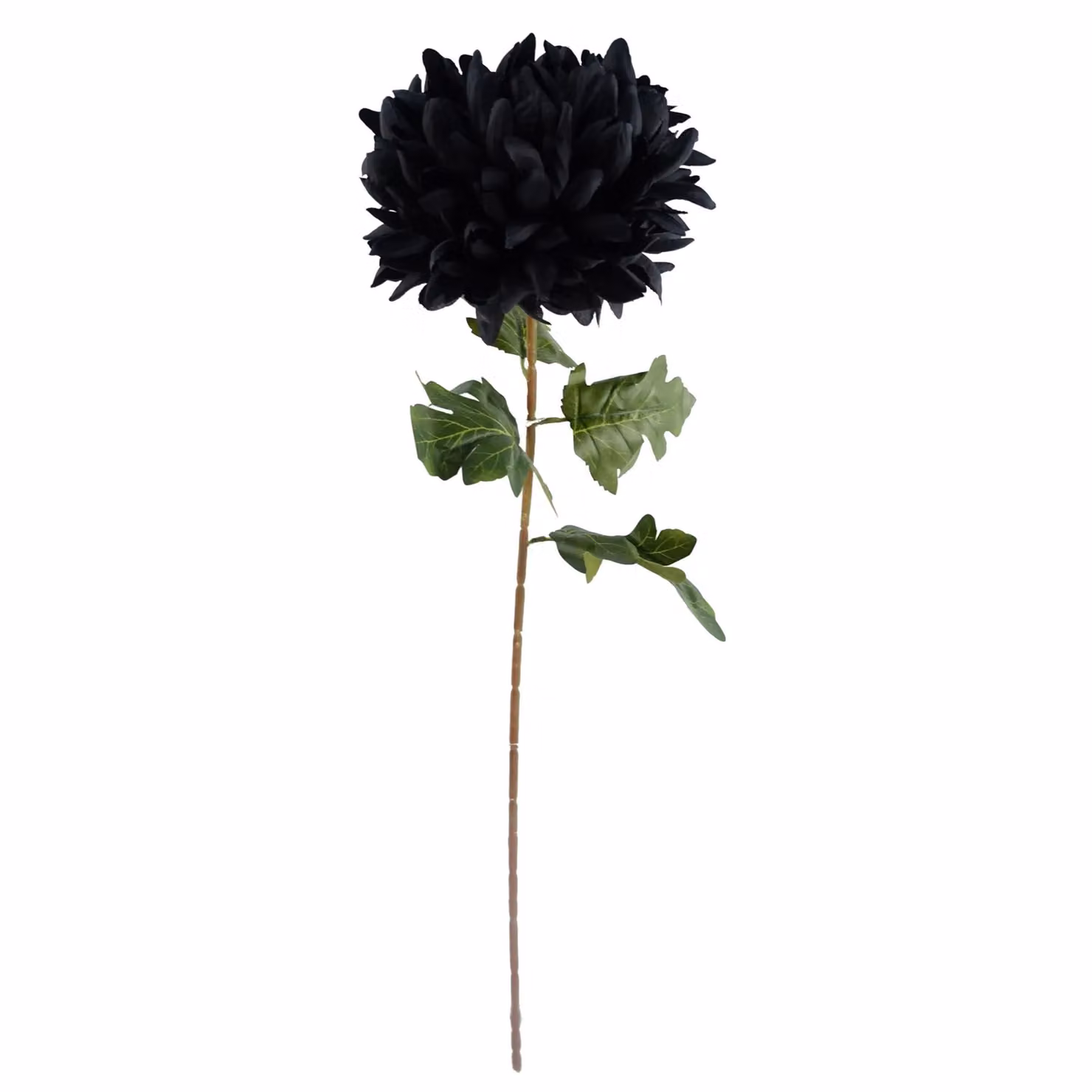 Leaf Design Black Artificial Extra Large Reflex Chrysanthemum Stem Flowers, Height: 75 cm – 3