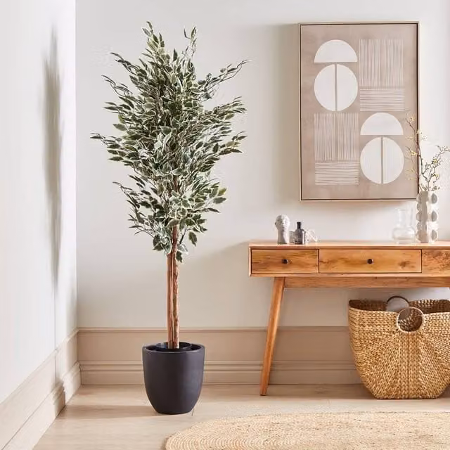 Wyld and Coco 167 cm Artificial Green Ficus Tree with Concrete Base