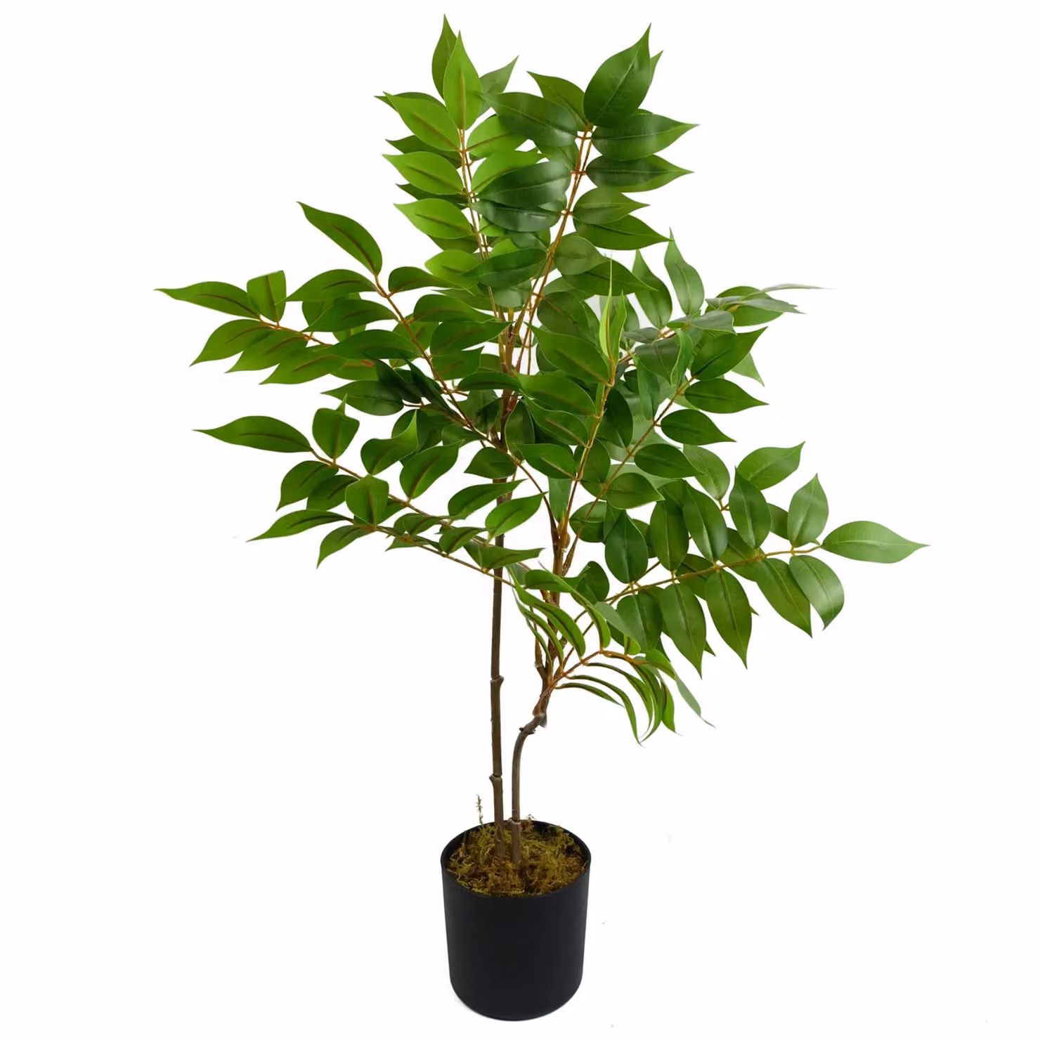 Leaf Artificial Toona Sinensis Potted Tree in Green, Height: 65 cm – 2
