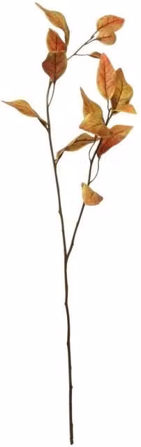 KDMD Glamis Eucalyptus Leaves in Gold and Brown, 3 Pack, Height: 76 cm
