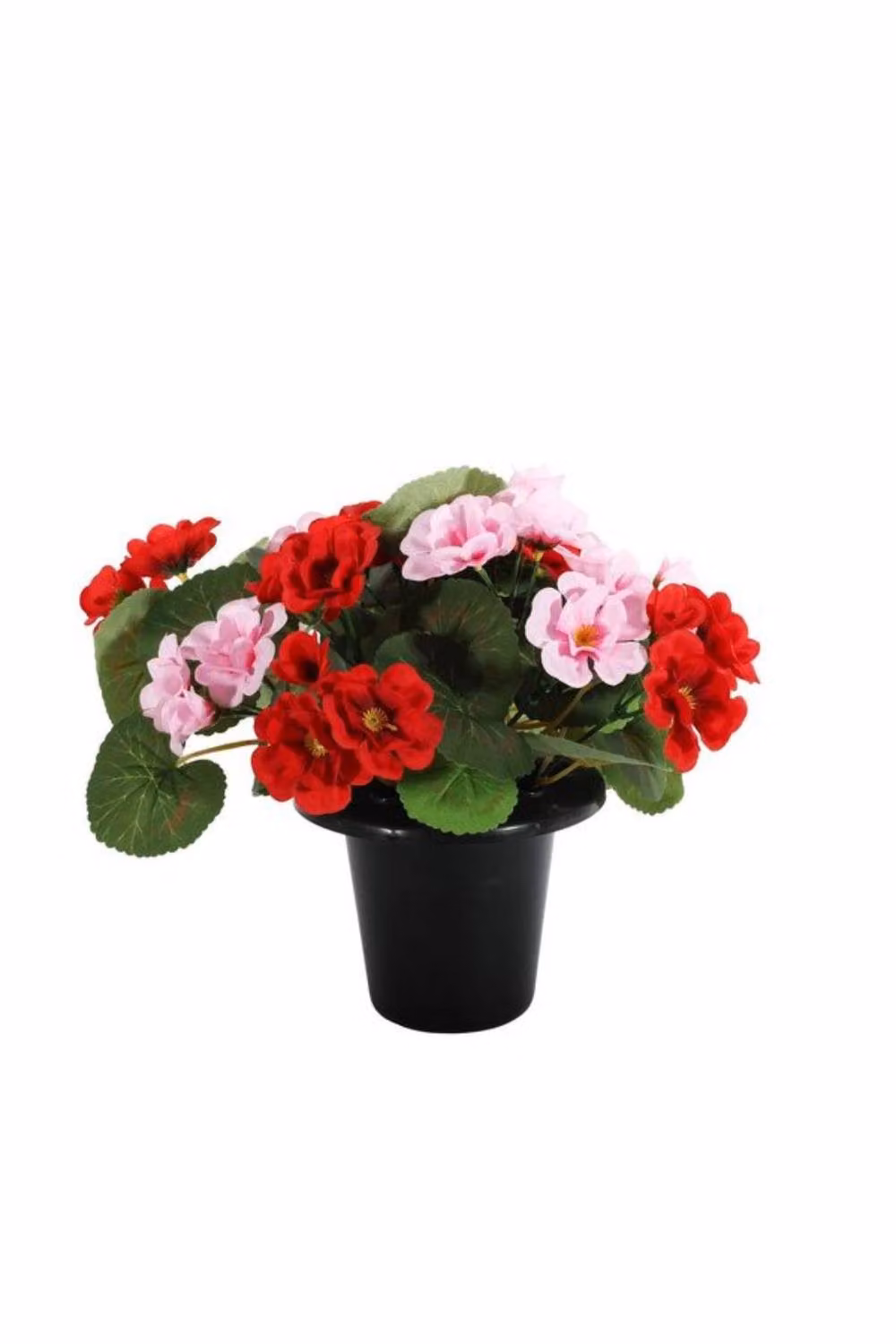 KDMD Essential Pink and Red Geranium Remembrance Pot in Multicolour – 2