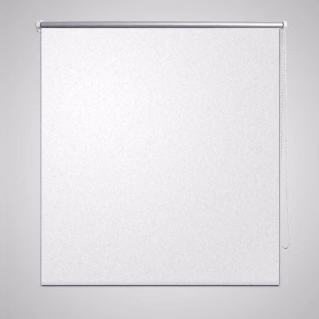 Berkfield Home Thermal Insulating Blackout Roller Blind, White and Silver, W: 120 cm, H: 175 cm