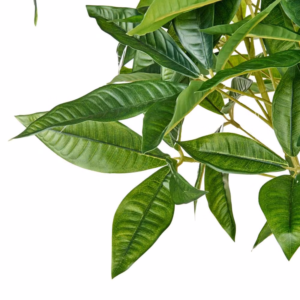 Wyld and Coco 120 cm Artificial Pachira Tree in a Black Pot, Green – 3