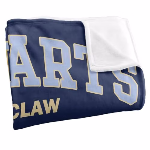 LOGOVISION Harry Potter Hogwarts Ravenclaw Alumni Super Soft Fleece Throw Blanket, Multicolour, W: 127 cm x D: 152.4 cm – 2