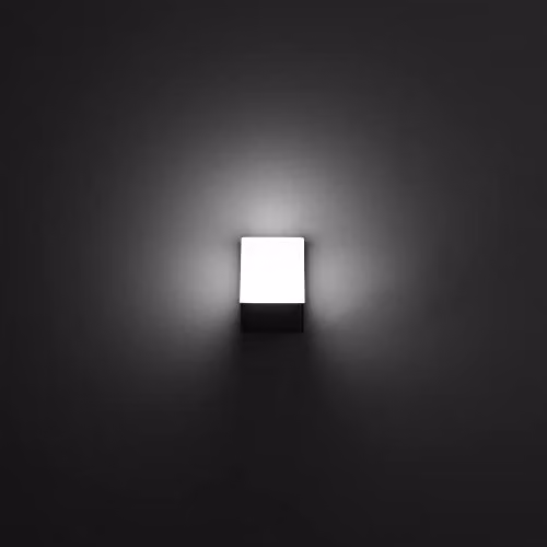Netlighting Forlight Opalo Modern Black LED Outdoor Wall Lamp with Warm White 3000K Light, IP44 Rated – 4
