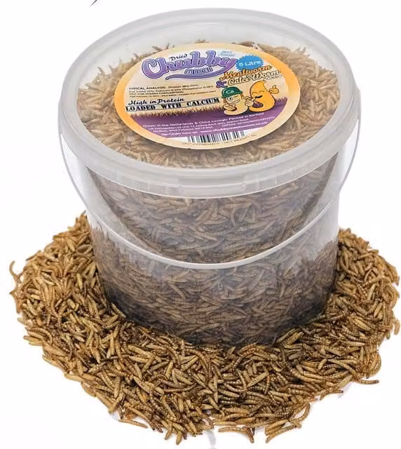 Chubby Mealworms Dried Mealworm and Calci Worm Mix, 5 Litre Protein and Calcium-Rich Treat for Birds, Reptiles and Small Pets – 1