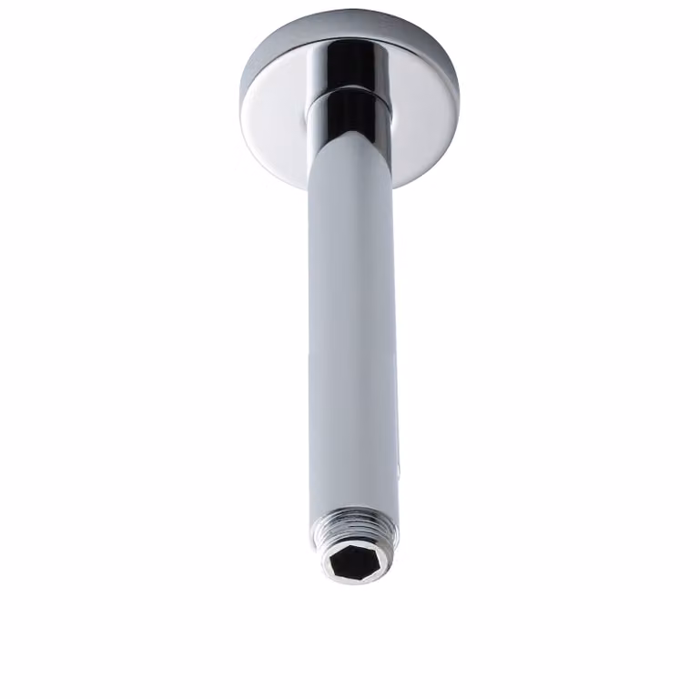Nuie Chrome Ceiling-Mounted Arm in Stainless Steel