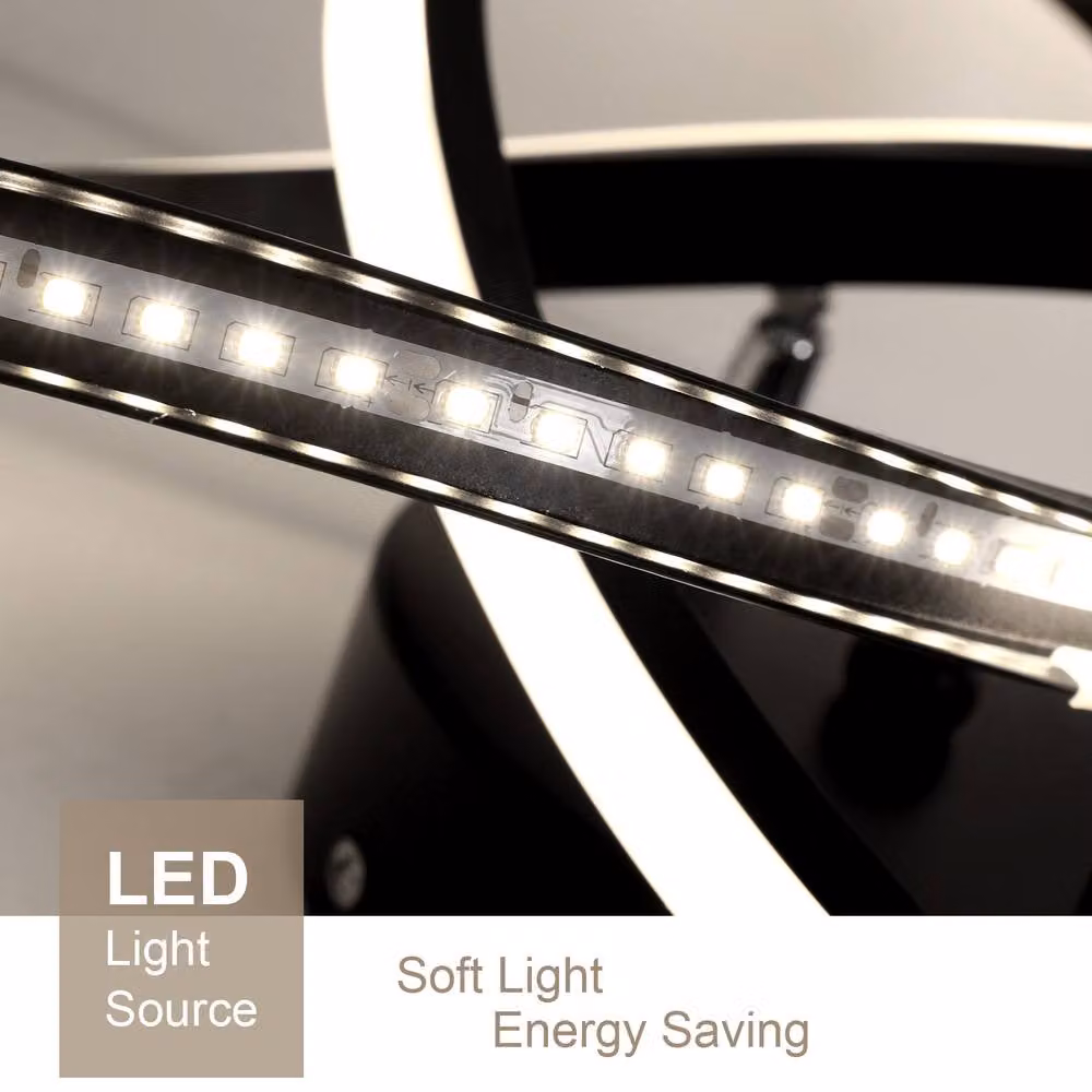 Pheashine Modern LED Ring Ceiling Light, 14W, Cool White, Black – 3