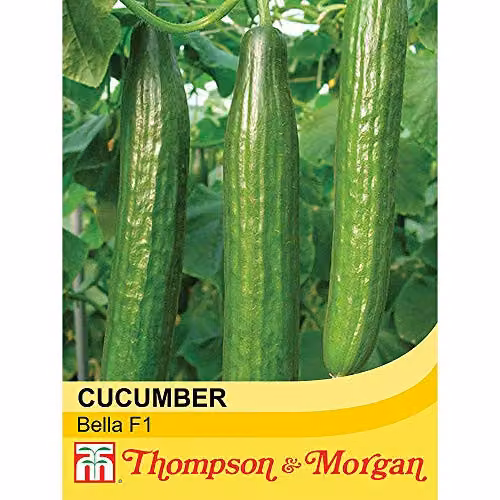 Thompson and Morgan Bella Variety Cucumber Vegetable Seeds, 1x Packet – 2