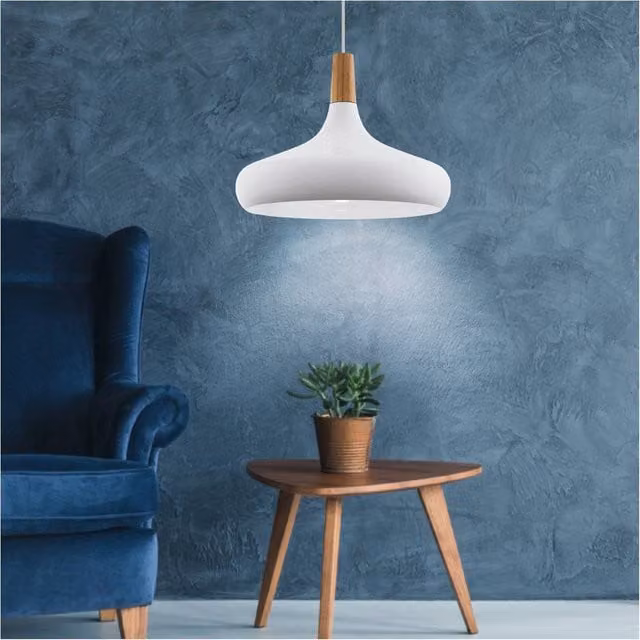 Loops Modern White Dome Pendant Ceiling Light with Wood Details