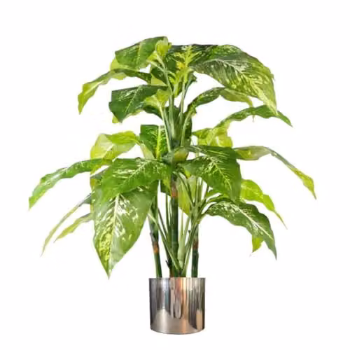 Botanik Realistic Potted Artificial Palm and Tropical Tree in Green, Black and Silver – 1