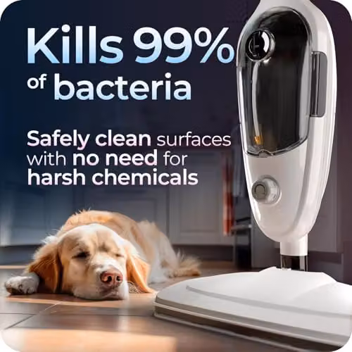 Avalla T-9 2-in-1 Steam Mop and Portable Handheld Steam Cleaner in White – 2