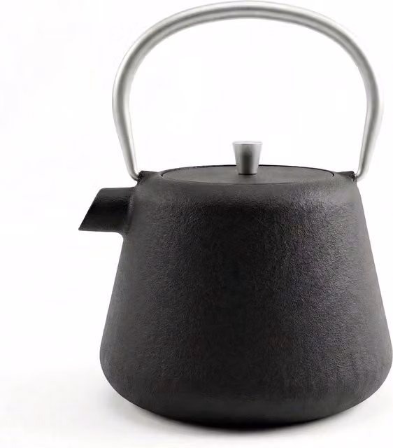 Geezy Cast Iron Teapot with Stainless Steel Infuser in Black and Silver