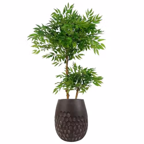 Leaf Honeycomb Geometric Composite Plant Pot in Green, W/D/H: 32 x 32 x 27 cm – 2