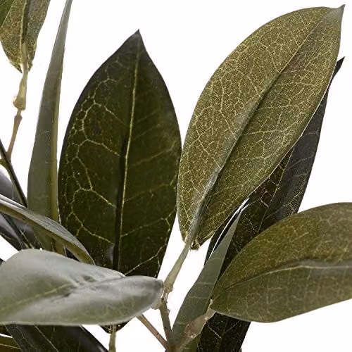 Hill Interiors The Recipe Faux Bay Leaf Spray, Green, W/D/H: 10 x 25 x 65 cm – 2