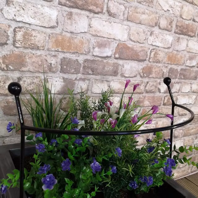 Samuel Alexander Tom Chambers Cottage Heavy Duty Black Steel Herbaceous Garden Plant Support Arc, W/D/H: 60 x 36 x 36 cm