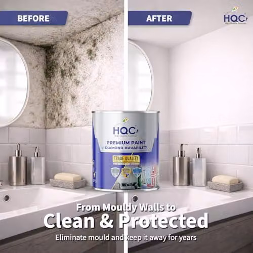 HQC Paints Anti Mould Water Based Dispersion Paint, Pink, 1 l – 3