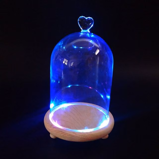 Livingandhome Decorative Glass Dome with White Wooden Base, Transparent, Diameter: 12 cm, Height: 18 cm