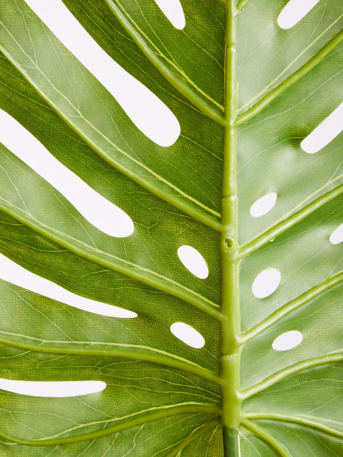 Orsina Green Monstera Palm Stem, Height: 109 cm – 2