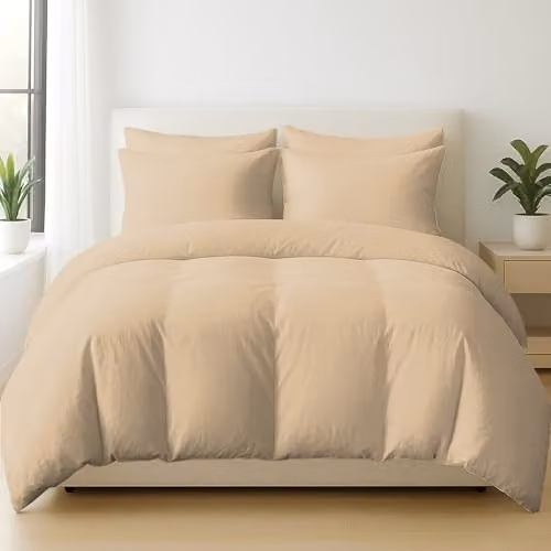 Pamposh 400 Thread Count Egyptian Cotton Single Duvet Cover Set, Beige, W: 135 cm, L: 200 cm