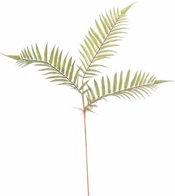KDMD Boston Fern Spray 2 Pack Green Textile Plants