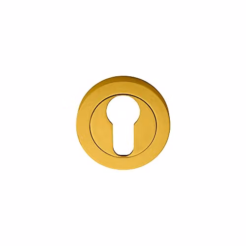 Loops 50mm Euro Profile Escutcheon with Concealed Fix in Polished Brass – 2