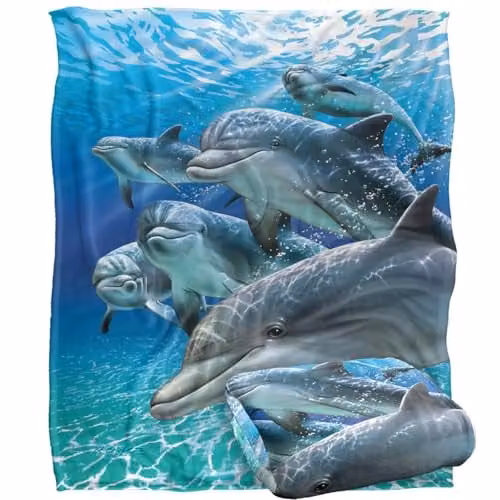JQ Licensing Royce Mcclure Dolphin Travelers Silky Touch Super Soft Fleece Throw Blanket, White, W/D/H: 152 x 127 cm – 1
