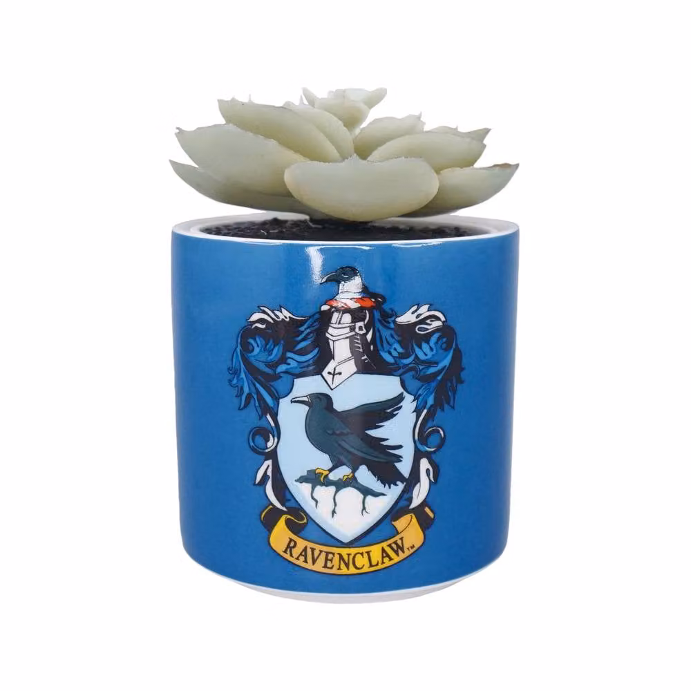 Harry Potter Ravenclaw Blue Ceramic Faux Potted Plant for Tabletop, Diameter: 6.5 cm – 2