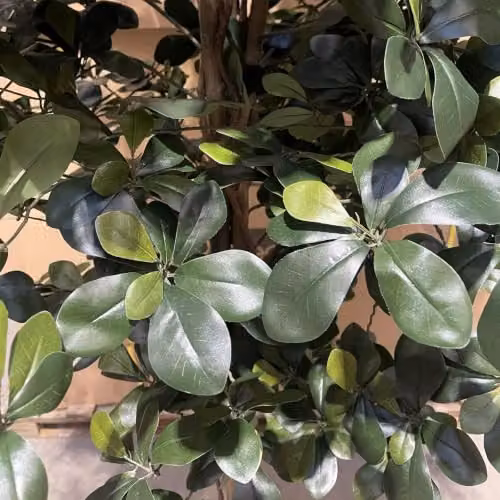 LeafUK Green Fire Resistant Artificial Olive Tree, Height: 180 cm – 6