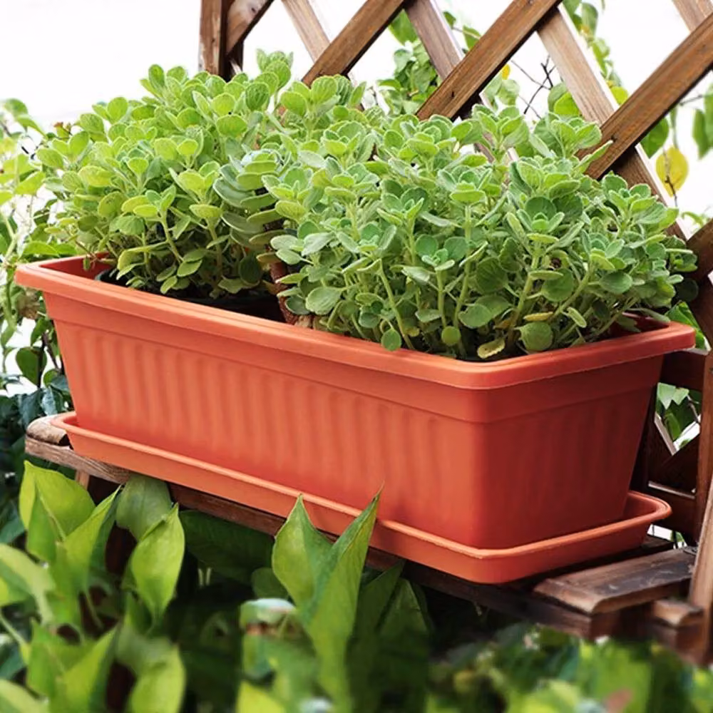 FLAVORA Red Extra Deep Trough Planters, Large Plastic Tub for Herb, Ornamental or Vegetable Gardens – 3
